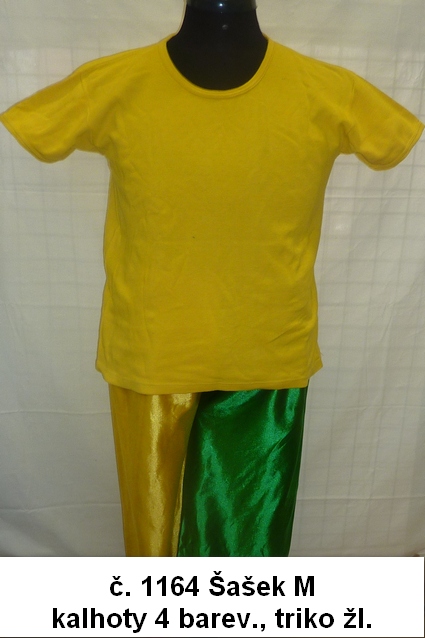 Šašek